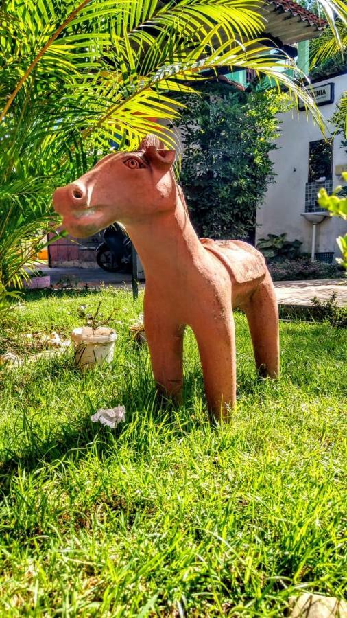 Pousada Do Gord0 Bonito  Eksteriør billede